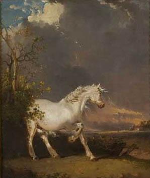 James Ward A horse in a landscape startled by lightning oil painting image